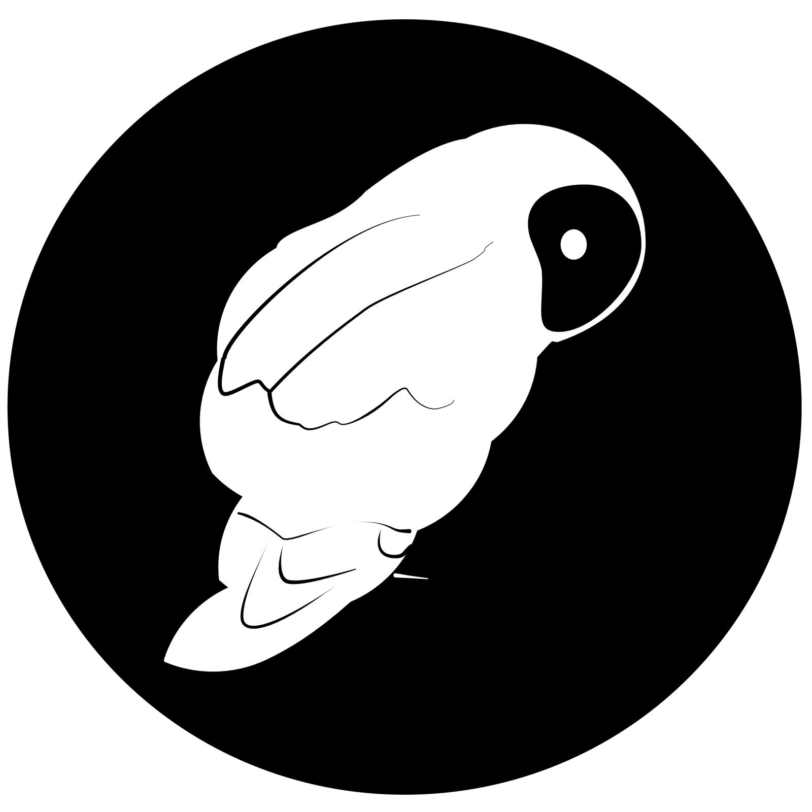 ALUCO CREATIVE